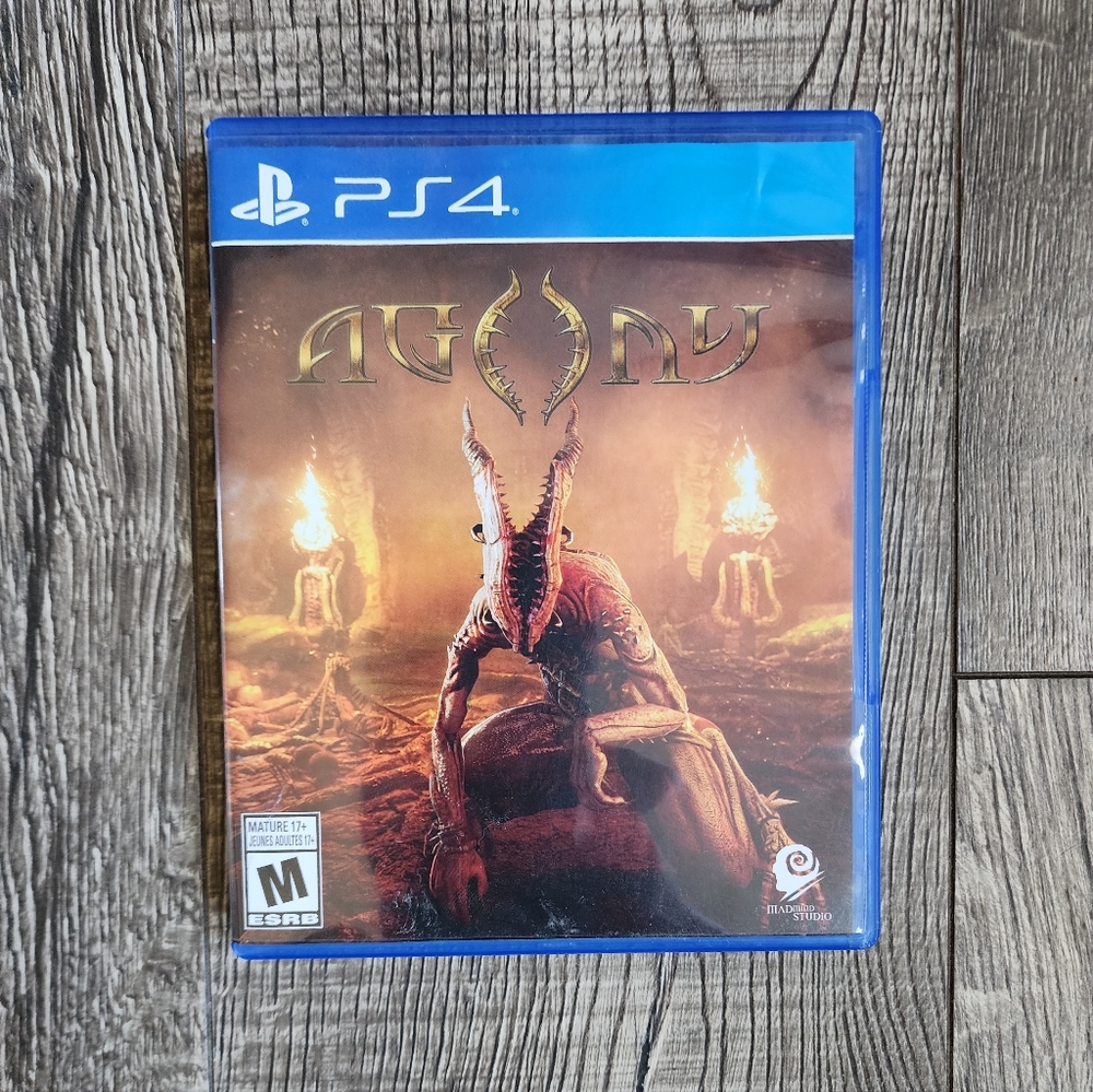 Agony PS4 Video Game